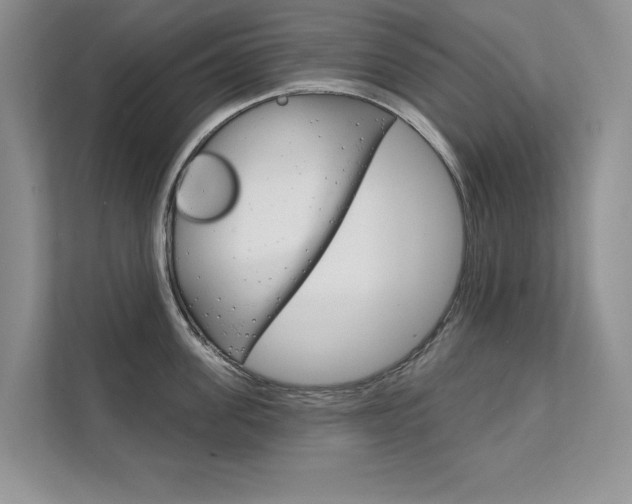 X0000111670955200907171441