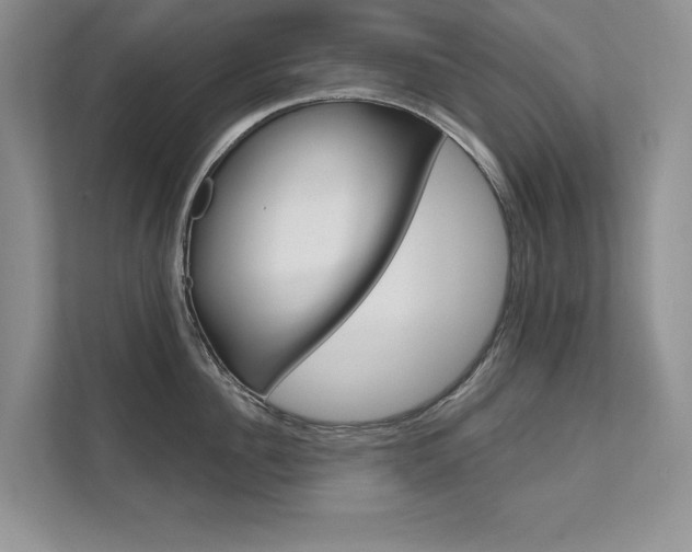 X0000111670956200907171441
