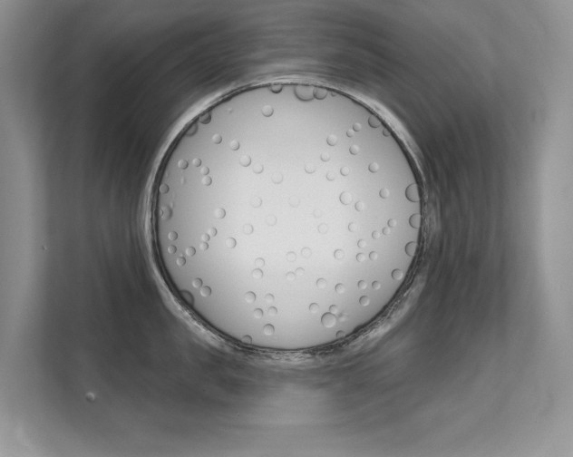 X0000111670957200907171441