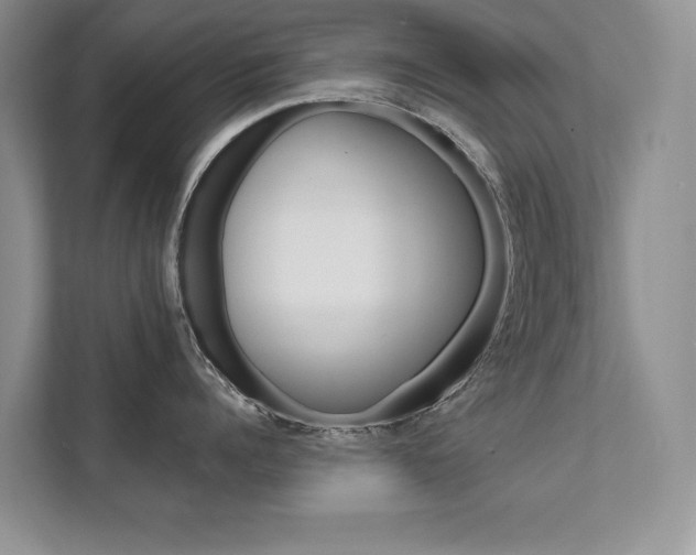 X0000111670960200907171441