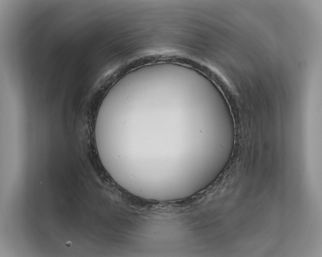 X0000111670967200907171441