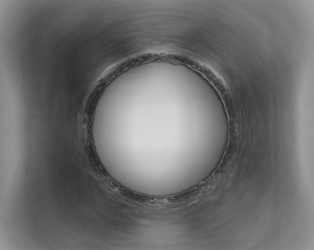 X0000111670968200907171441