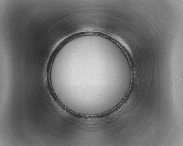 X0000111670972200907171441