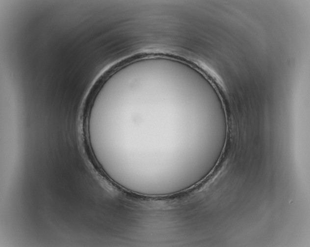 X0000111670976200907171441