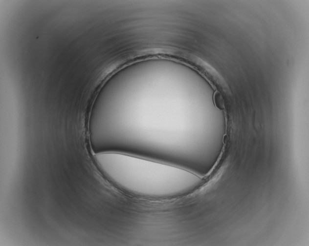 X0000111670977200907171441
