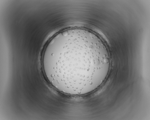X0000111670978200907171441