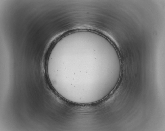 X0000111670979200907171441