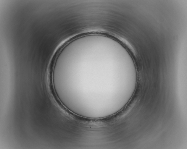 X0000111670983200907171441