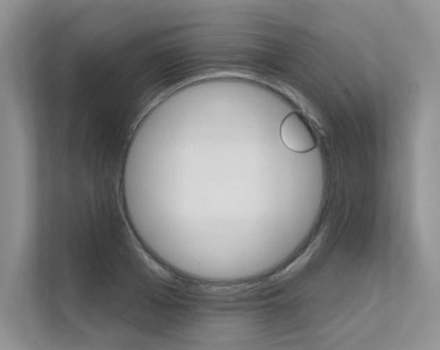 X0000111670985200907171441
