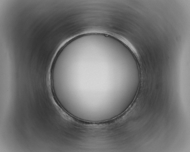 X0000111670996200907171440