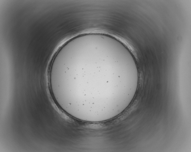 X0000111670998200907171440