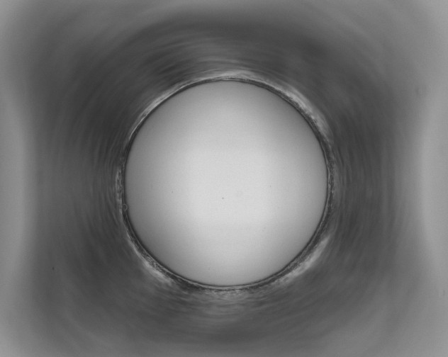 X0000111671001200907171440