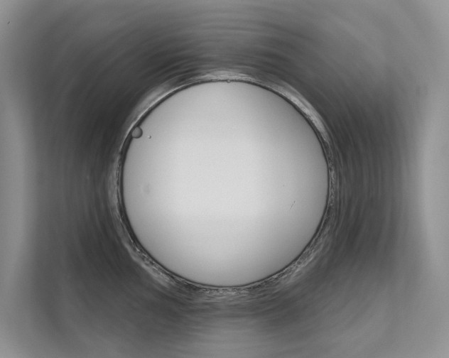 X0000111671002200907171440