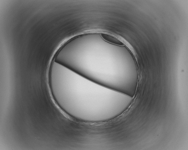 X0000111671005200907171440
