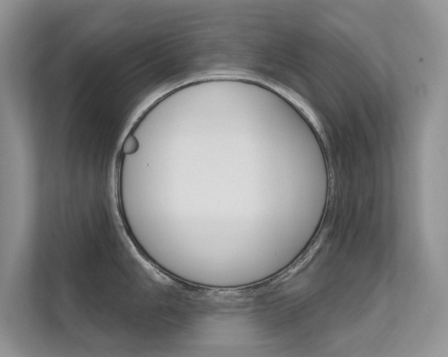 X0000111671006200907171440