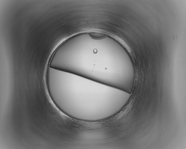 X0000111671007200907171440