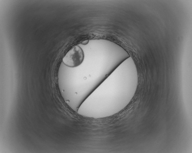 X0000111671009200907171440