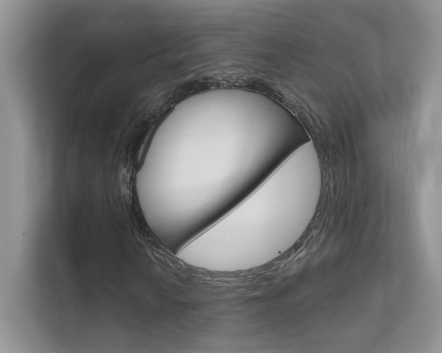 X0000111671010200907171440
