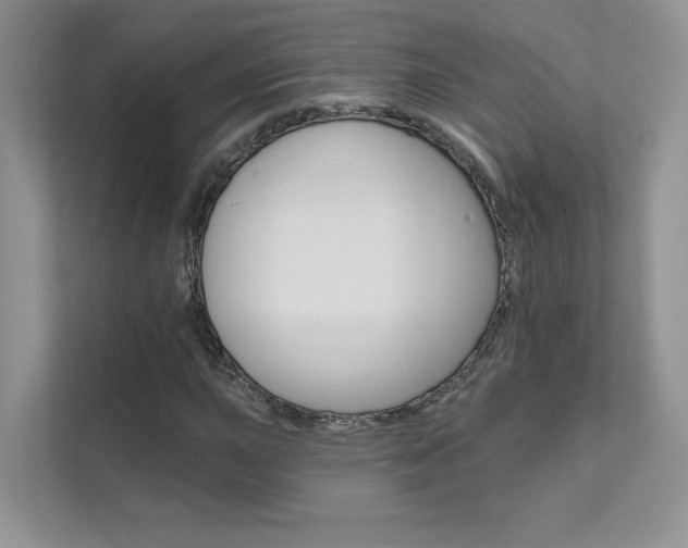 X0000111671015200907171440