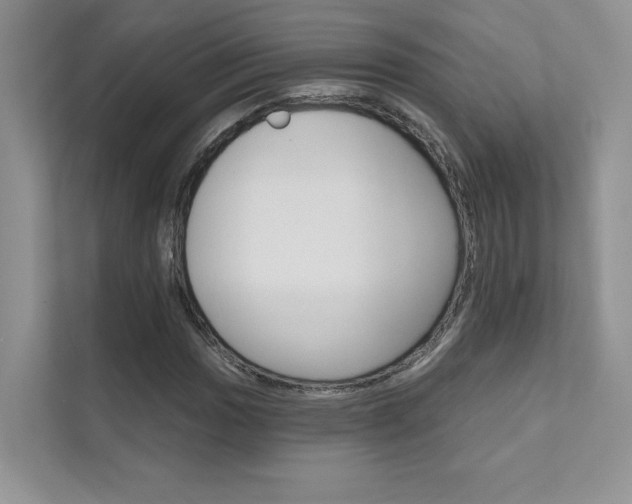 X0000111671017200907171440