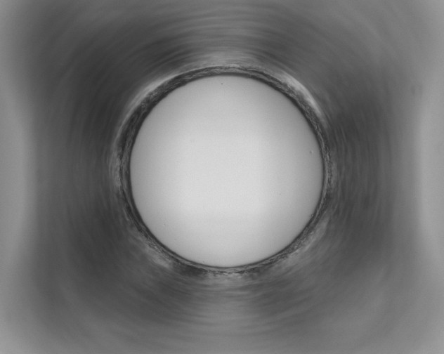X0000111671019200907171440
