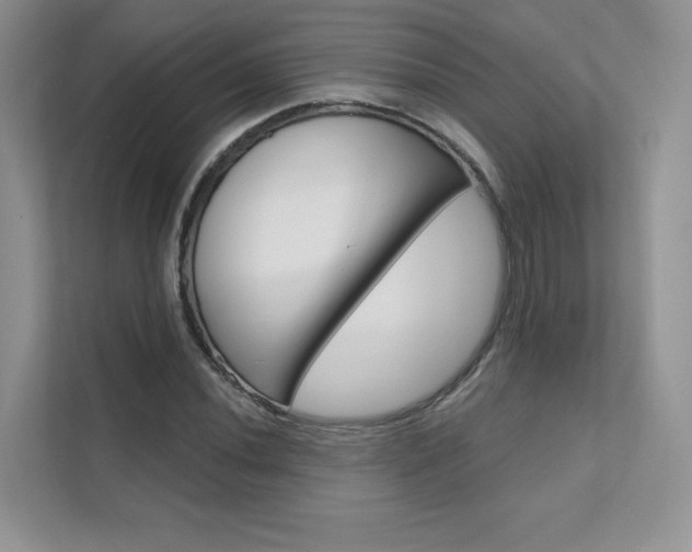X0000111671020200907171440