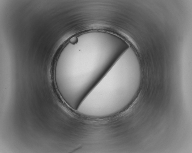 X0000111671026200907171440