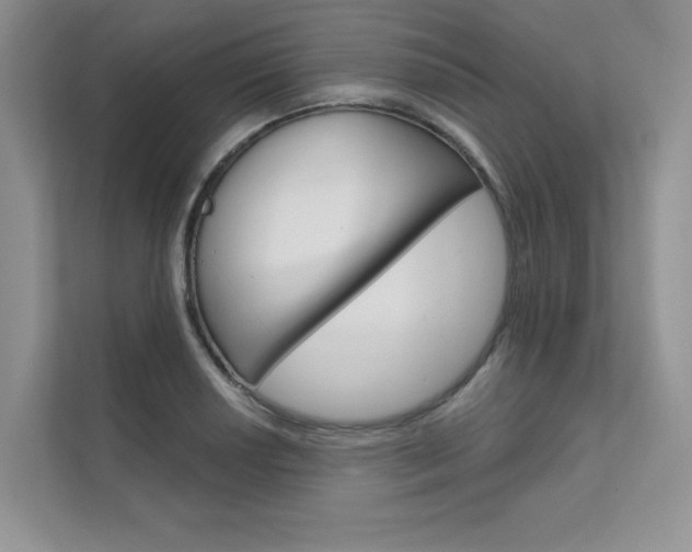 X0000111671034200907171440