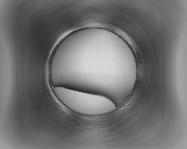 X0000111671048200907171440