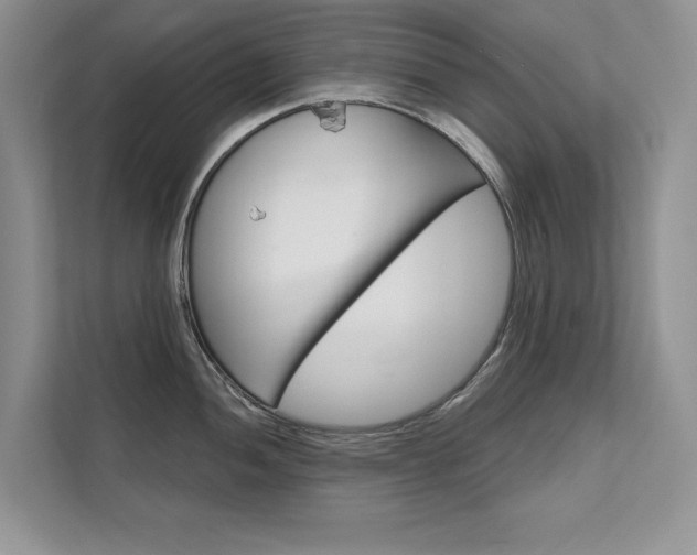 X0000111671052200907171440