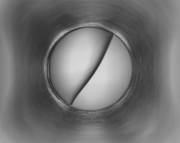 X0000111671054200907171440