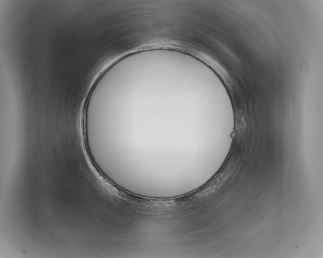 X0000111671055200907171440