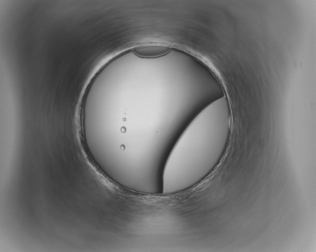 X0000111671056200907171440
