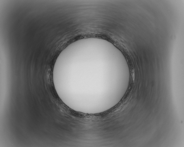 X0000111671059200907171440