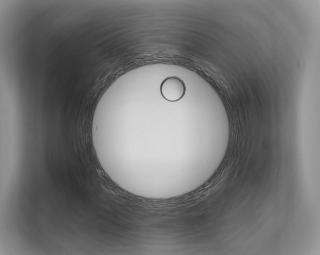 X0000111671060200907171440