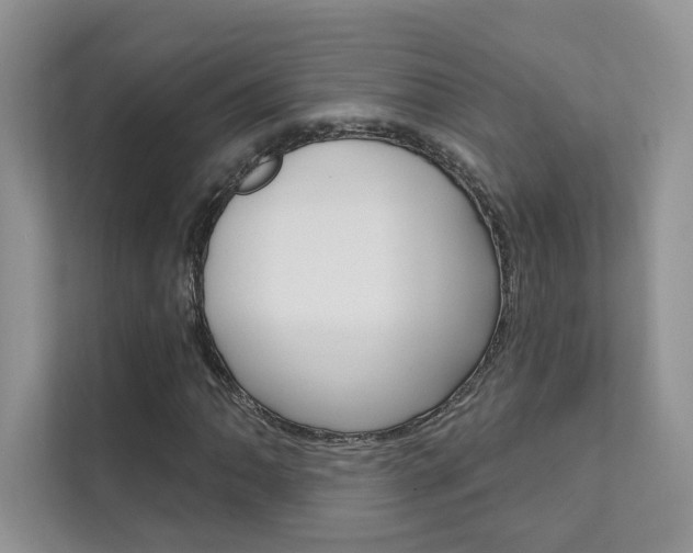 X0000111671062200907171440