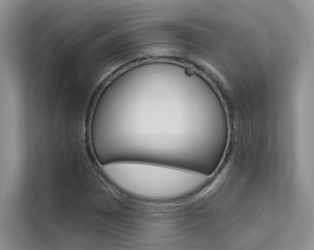 X0000111671065200907171440