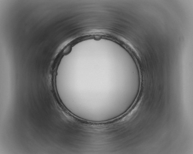 X0000111671066200907171439
