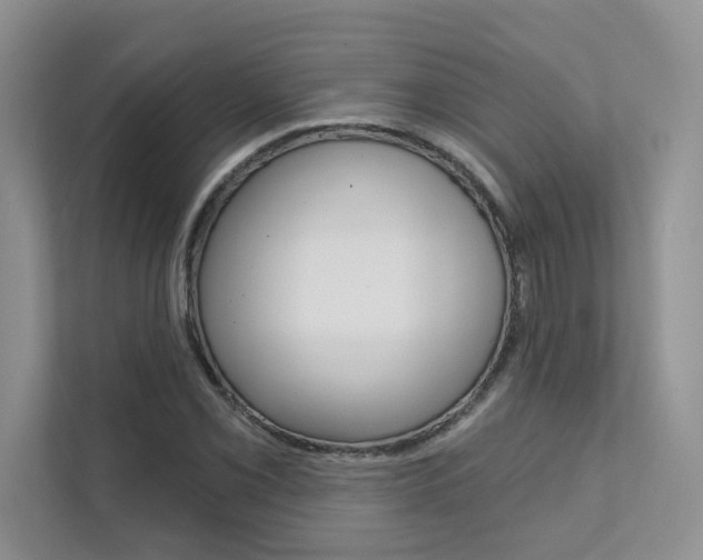 X0000111671069200907171439