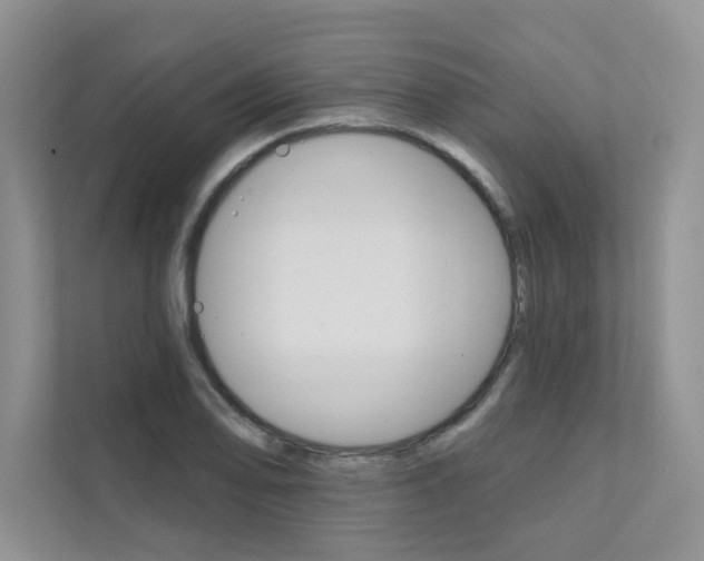 X0000111671078200907171439