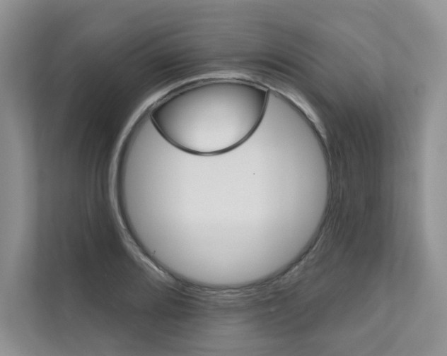 X0000111671080200907171439