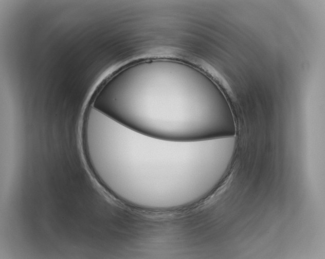 X0000111671085200907171439