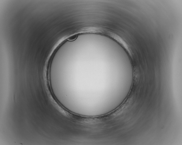 X0000111671091200907171439
