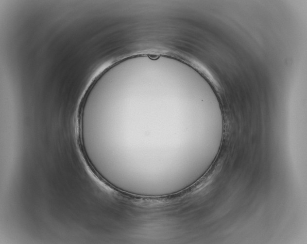 X0000111671095200907171439
