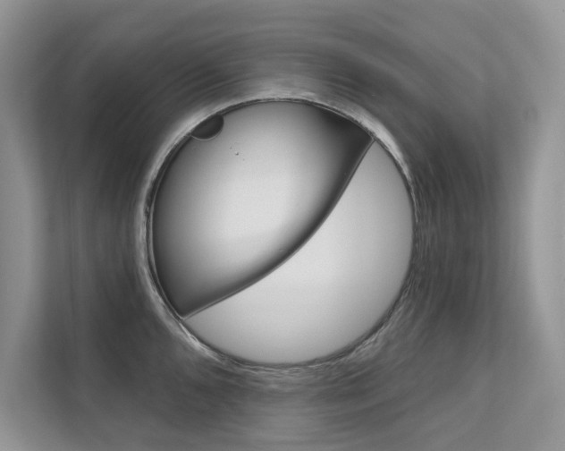 X0000111671096200907171439