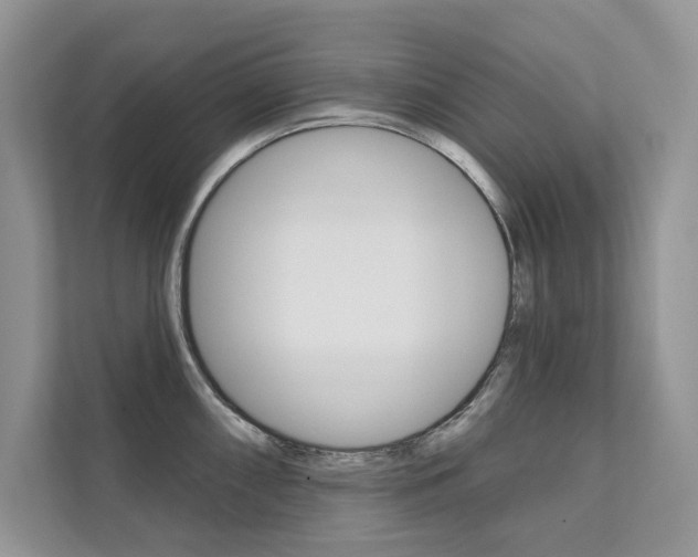 X0000111671098200907171439
