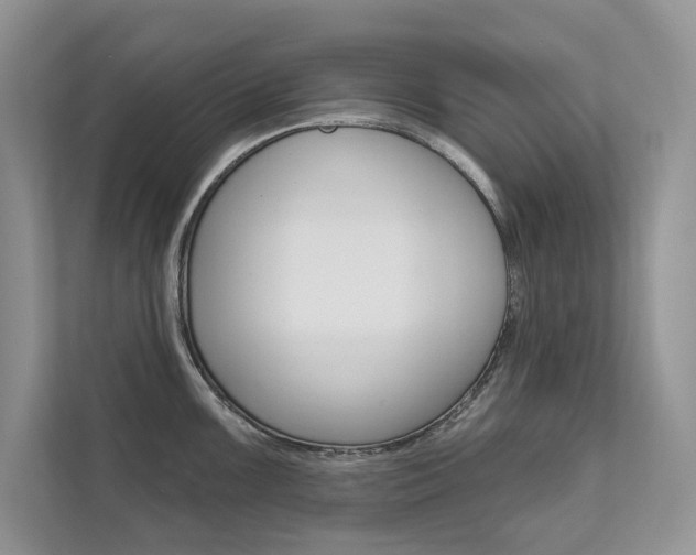 X0000111671099200907171439