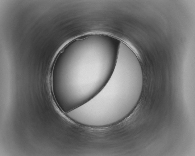 X0000111671100200907171439
