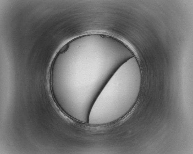 X0000111671102200907171439