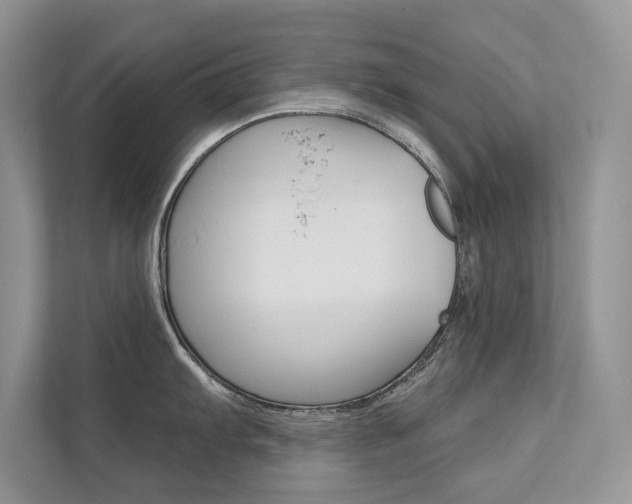 X0000111671103200907171439